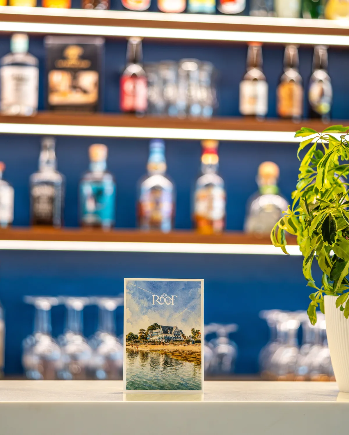 Carte postale Le Roof posée sur le comptoir d'un bar, en Bretagne
