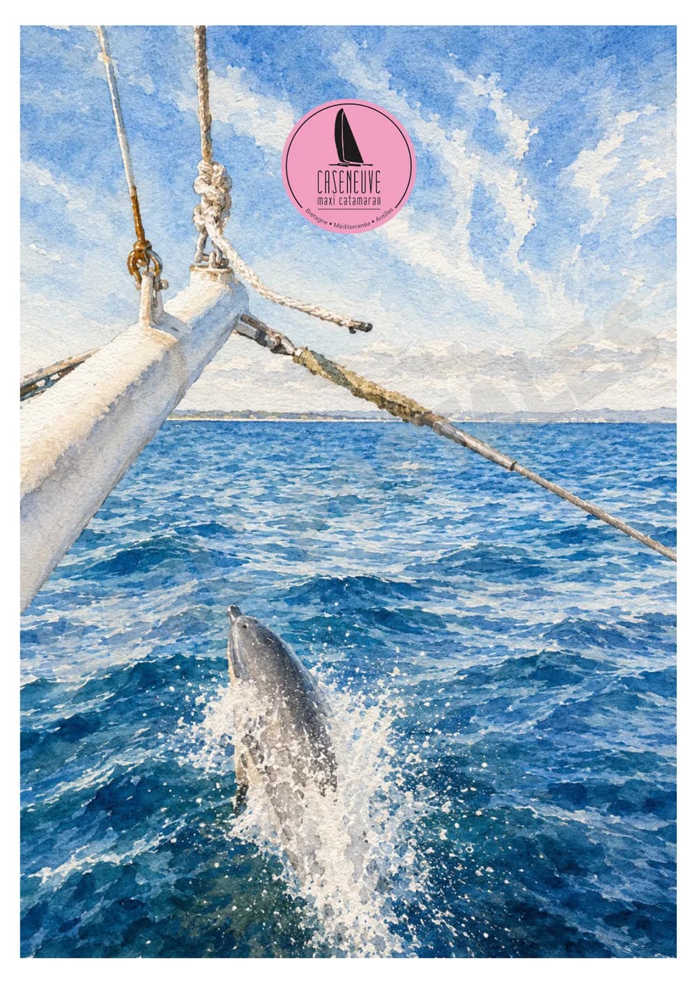 Caseneuve Maxi Catamaran — n°10